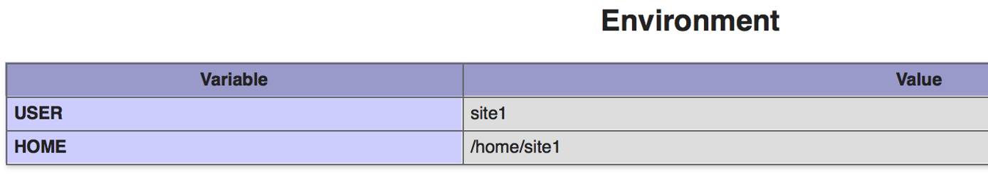 The PHP Environment Variable